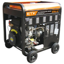 Diesel Generator with CE Approved (DG10LE-3P)